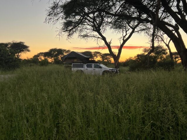 Winter Sun in Stunning South Africa