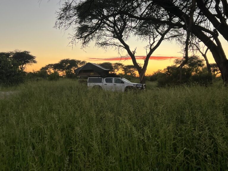 Winter Sun in Stunning South Africa